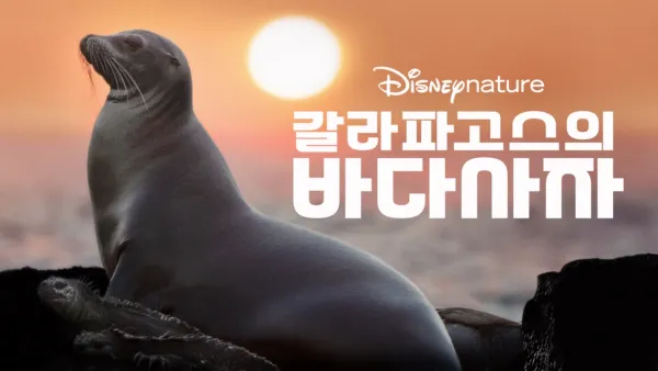 thumbnail - 갈라파고스의 바다사자
