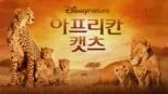 thumbnail - 아프리칸 캣츠