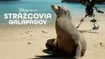 thumbnail - Strážcovia Galapágov